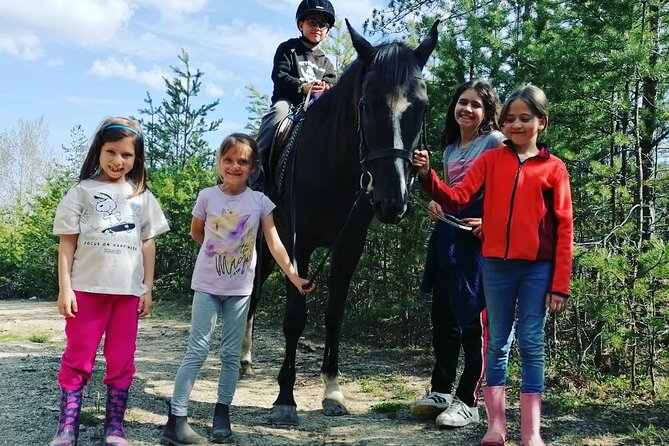 Rila National Park Horse Riding Adventure - A forest ride rather than a riding lesson