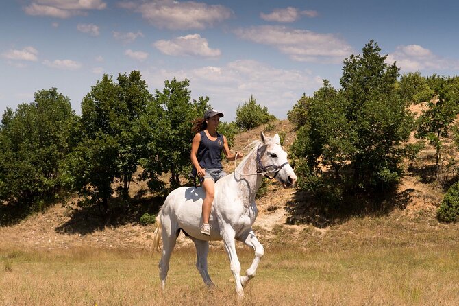 Rila National Park Horse Riding Adventure - Experienced riders can ask for more pace