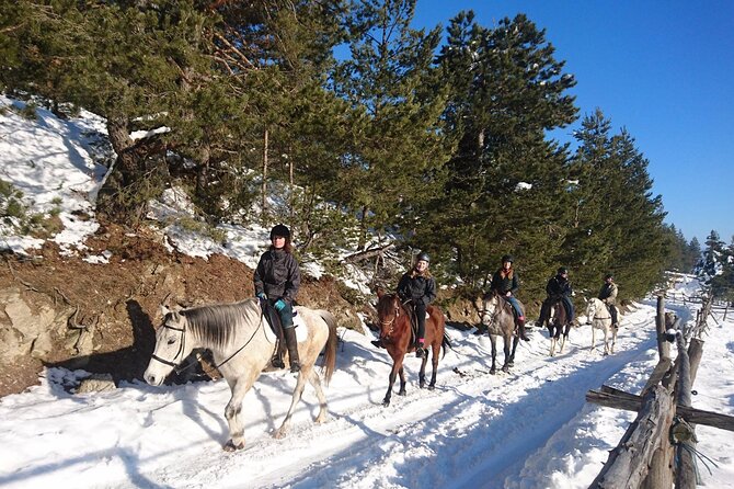 Rila National Park Horse Riding Adventure - Forest, meadow, and river views
