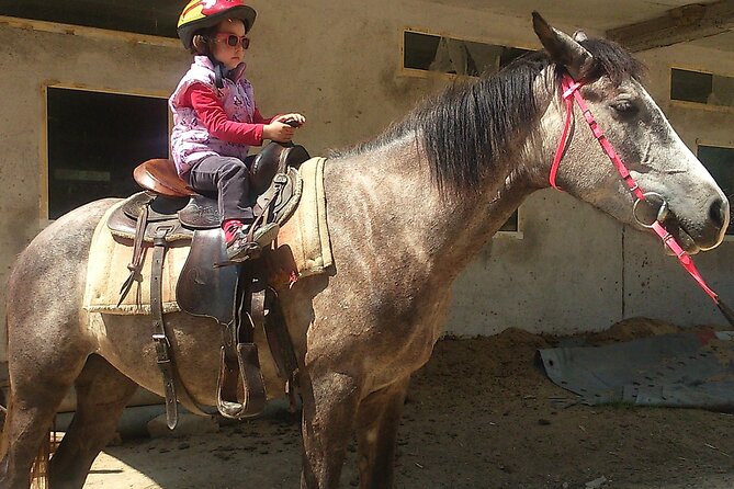 Rila National Park Horse Riding Adventure - What the $47.89 price really covers