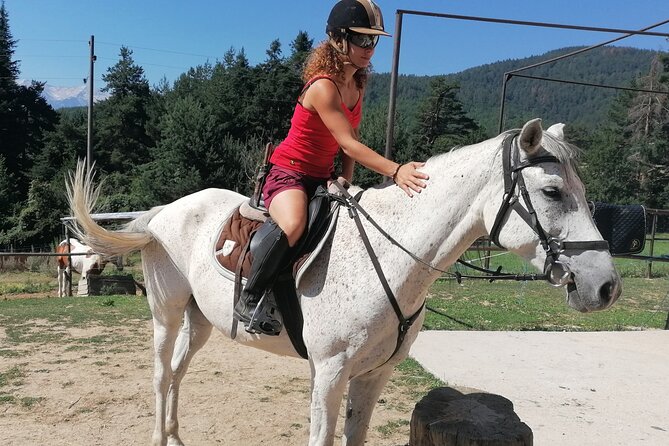 Rila National Park Horse Riding Adventure - A useful stop for mixed-ability groups
