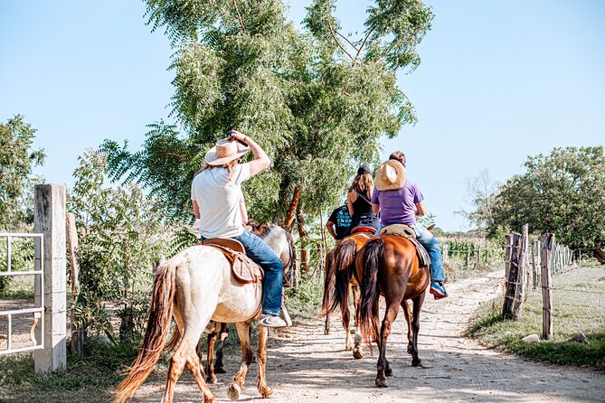 River Trail Horseback Riding Adventure - Fitness, comfort, and who should skip it