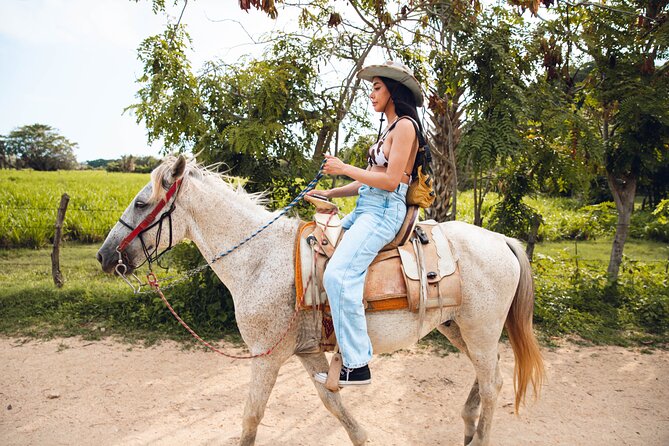 River Trail Horseback Riding Adventure - Sunset near the Pacific, with one important qualification
