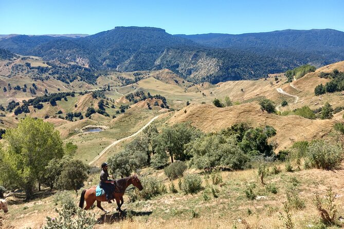 River Valley Stables - Burn The Breeze, Half Day Horse Ride For Riders - A riding experience built around trust