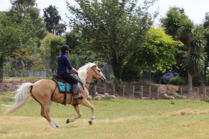 River Valley Stables - Burn The Breeze, Half Day Horse Ride For Riders - What the pace means for you