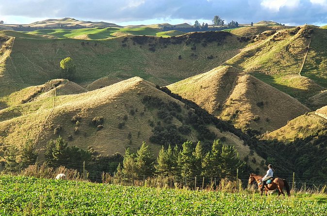 River Valley Stables - Burn The Breeze, Half Day Horse Ride For Riders - A strong choice for families with older children