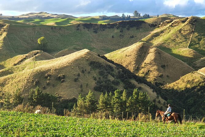 River Valley Stables - Burn The Breeze, Half Day Horse Ride For Riders - The value of $170.66