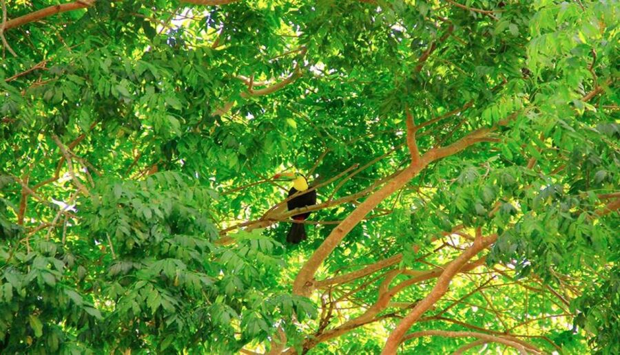 Riviera Maya: Horseback Riding at Rancho Bonanza - Key details at a glance