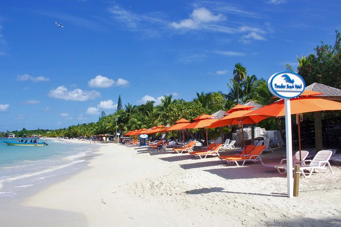 Roatan Excursion: Horseback Ride / Plus Sloth Park and Beach Break - Why the sloth and monkey park carries the day