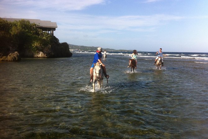 Roatan Excursion: Horseback Ride / Plus Sloth Park and Beach Break - The beach break can mean several different things