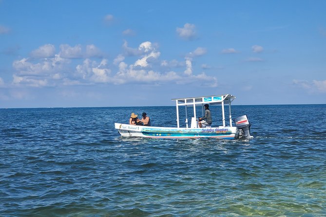 Roatan Excursion: Horseback Ride / Sloths park / Snorkel With Beach Break - Sloths, monkeys, and macaws at the animal park