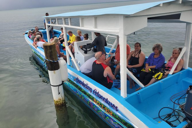 Roatan Excursion: Horseback Ride / Sloths park / Snorkel With Beach Break - The horseback ride: scenic, short, and slow