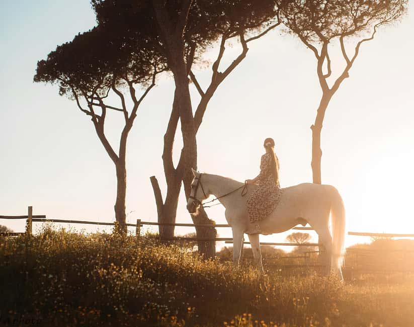Rome: Horseback Riding Experience in Castel Fusano - The Value of Castel Fusano and Ostia