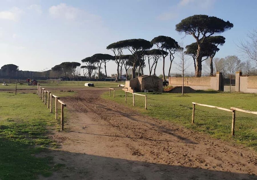 Rome: Horseback Riding Experience in Castel Fusano - What the One-Hour Route Feels Like