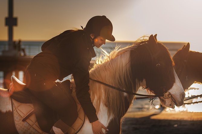Rome: Horseback Riding on the Beach with aperitif - Why the hands-on care matters
