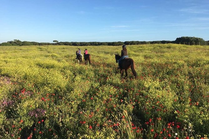 Rome: Horseback Riding on the Beach with aperitif - Timing problems and the need to confirm details