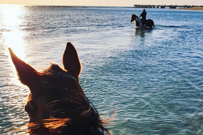 Rome: Horseback Riding on the Beach with aperitif - Is the private format always private?