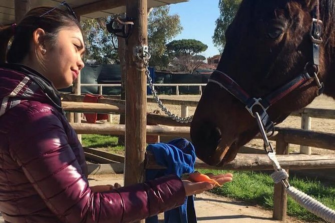 Rome : Horseback Riding with meals and wine included - Grooming the horses before the ride