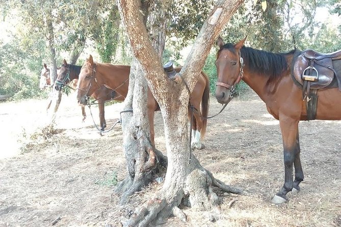 Rome : Horseback Riding with meals and wine included - Riding through the Roman coastal reserve