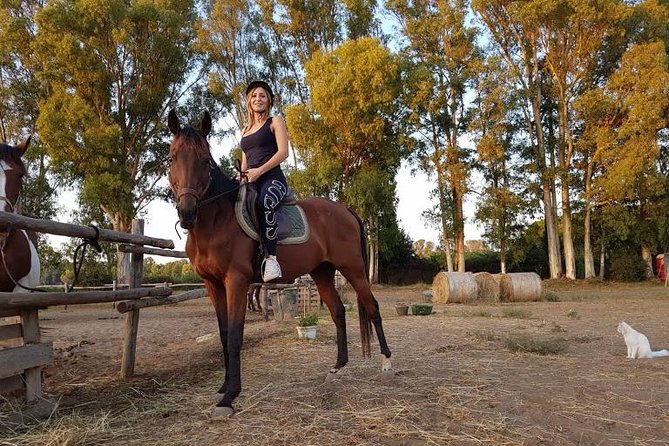 Rome : Horseback Riding with meals and wine included - The meal: Roman cooking after the saddle