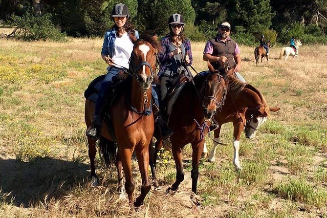 Rome : Horseback Riding with meals and wine included - Transport problems you should prevent
