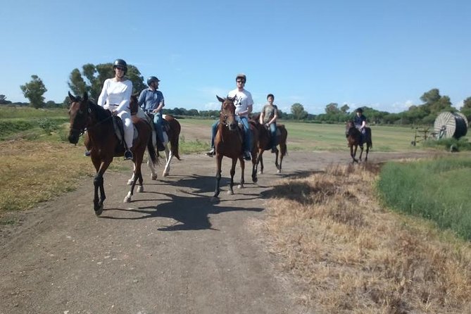 Rome : Horseback Riding with meals and wine included - Arriving at Cavalieri di Gaia