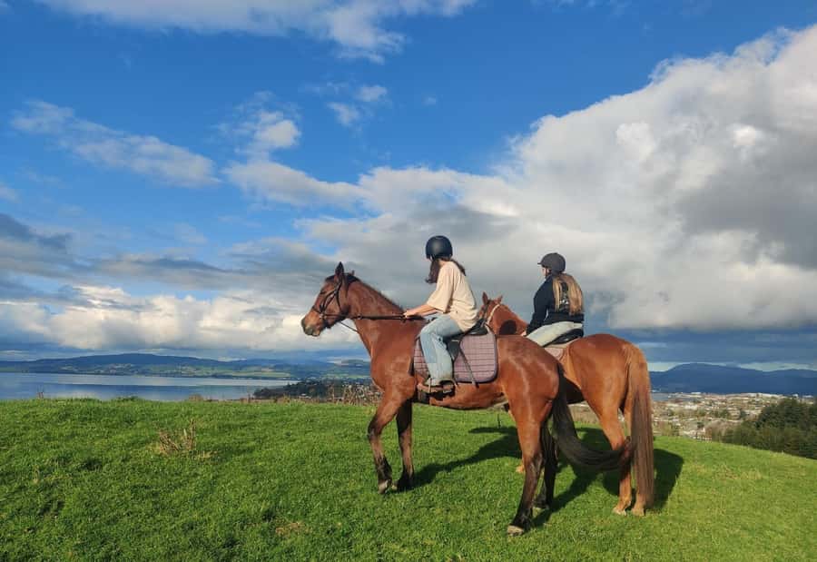 Rotorua: Scenic Horse Trek - Leaving Adventure Playground for the farmland