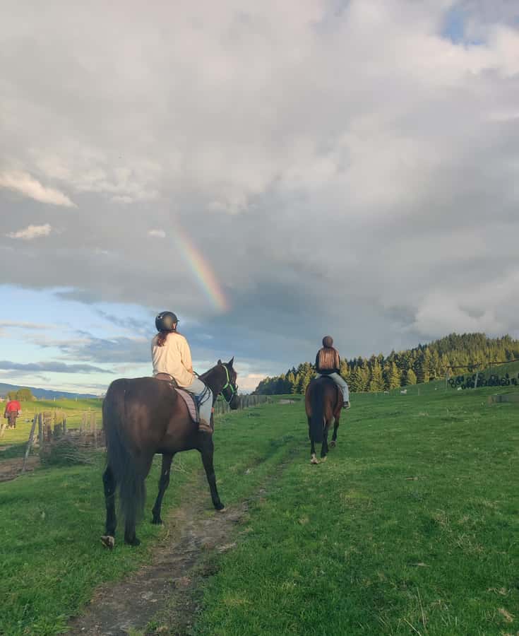 Rotorua: Scenic Horse Trek - Riding beneath Mt Ngongotaha