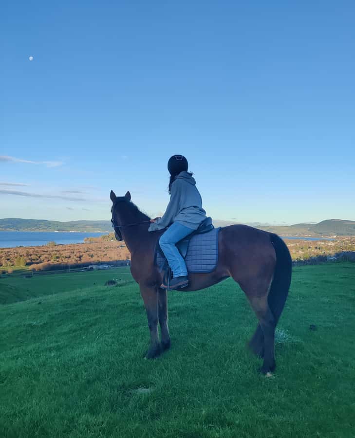 Rotorua: Scenic Horse Trek - What the guide adds to the ride