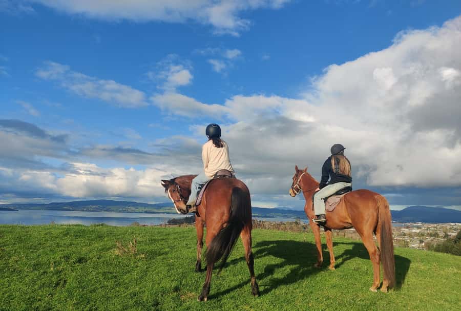 Rotorua: Scenic Horse Trek - The Lake Rotorua viewpoints