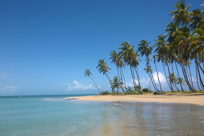 Round Mountain + Beach + Horse + Lunch - The important itinerary question: beach visit or mountain view