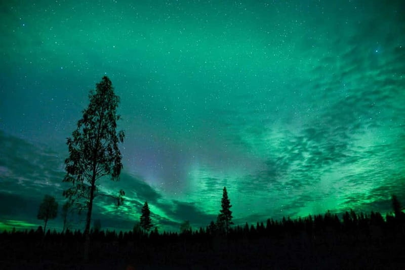 Rovaniemi: Horse Sleigh Ride under the Night Sky - Leaving Rovaniemi for Apukka after dark