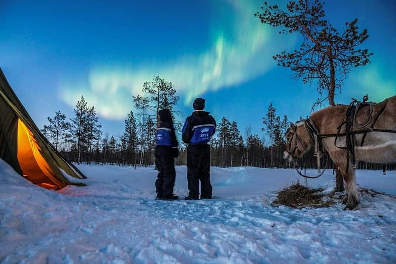 Rovaniemi: Horse Sleigh Ride under the Night Sky - Following Apukka’s snowy forest trails