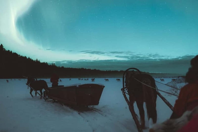 Rovaniemi: Horse Sleigh Ride under the Night Sky - Listening to Finn Horse stories and Northern Lights legends