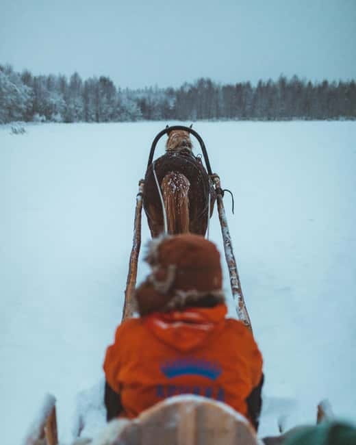 Rovaniemi: Horse Sleigh Ride under the Night Sky - Warming up beside the forest bonfire