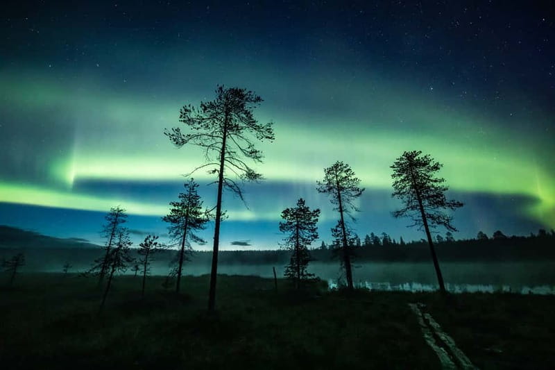 Rovaniemi: Horse Sleigh Ride under the Night Sky - Settling into a sleigh built for the snow
