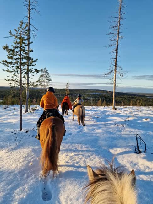 Rovaniemi: Winter Horseback Ride on Snowy Hills and Forests - A quiet alternative to Rovaniemi’s busiest sights