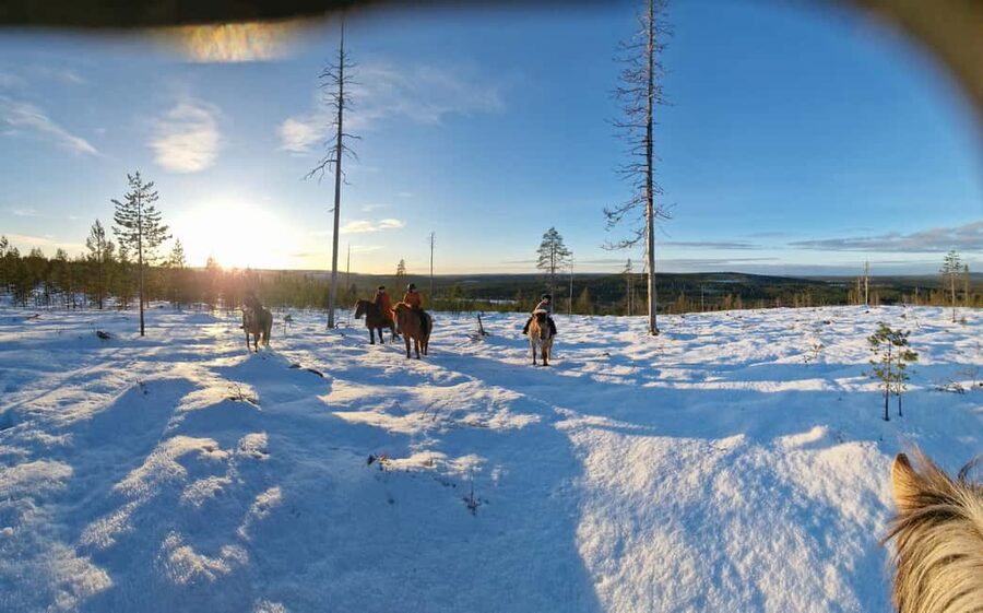 Rovaniemi: Winter Horseback Ride on Snowy Hills and Forests - Meeting the horses and getting ready