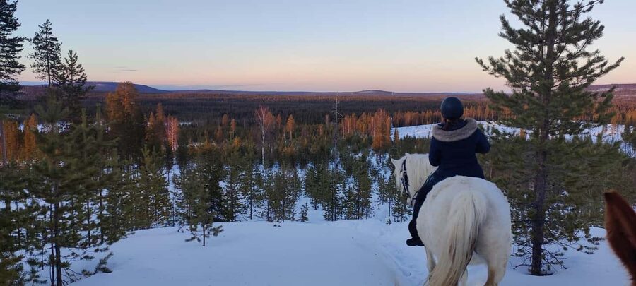 Rovaniemi: Winter Horseback Ride on Snowy Hills and Forests - A visit to the Lappish farm