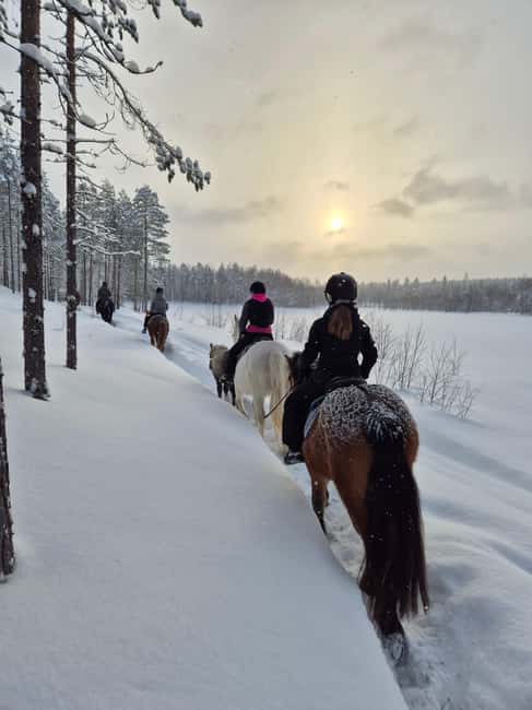 Rovaniemi: Winter Horseback Ride on Snowy Hills and Forests - Arriving at Ranch Kuulas
