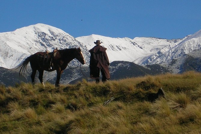 Rubicon Valley Horse Treks - 2 Hour River Trail Horse Trek - Key points to know before you book