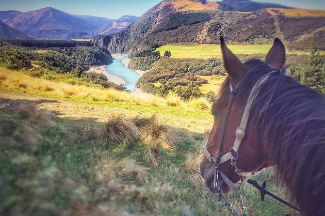 Rubicon Valley Horse Treks - 2 Hour River Trail Horse Trek - Who should book the River Trail Horse Trek?