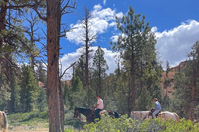 Ruby's Horseback Adventures All Day Ride - Why this ride is different from a short Bryce trail outing