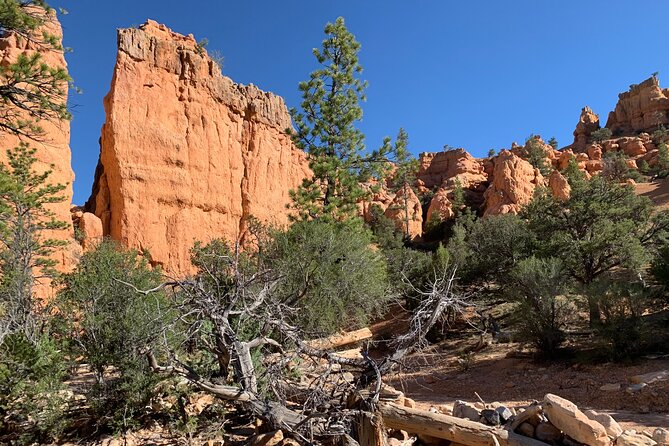 Ruby's Horseback Adventures Utah Half Day Ride - Red Canyon gives you the real horseback setting