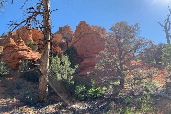 Ruby's Horseback Adventures Utah Half Day Ride - The four-hour schedule has more than saddle time