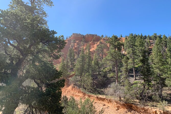 Ruby's Horseback Adventures Utah Half Day Ride - Guides can turn a slow ride into a memorable one