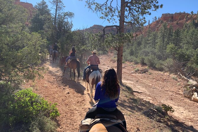 Ruby's Horseback Adventures Utah Half Day Ride - Morning or afternoon: choose for comfort, not just convenience