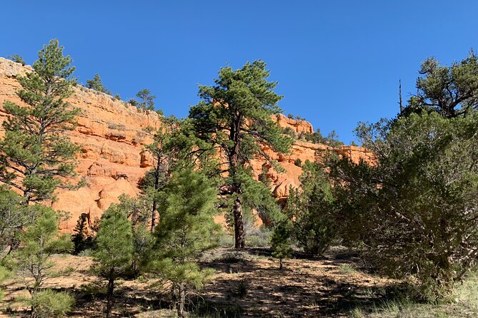 Ruby's Horseback Adventures Utah Half Day Ride - Who should book this ride?
