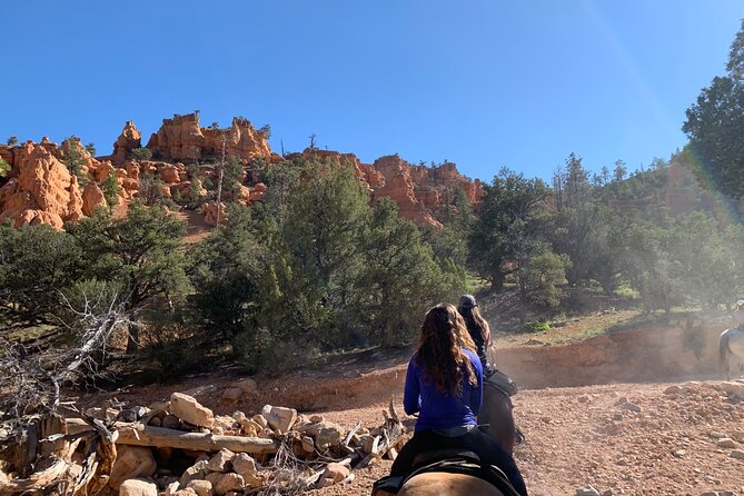 Ruby's Horseback Adventures Utah Half Day Ride - Calm horses help first-time riders settle in
