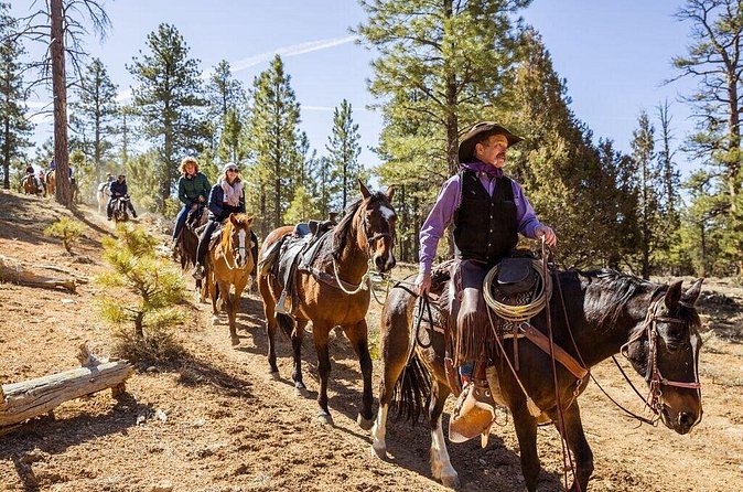 Ruby's Horseback Adventures Utah Thunder Mt. 4 Hour Ride - The views are worth the effort